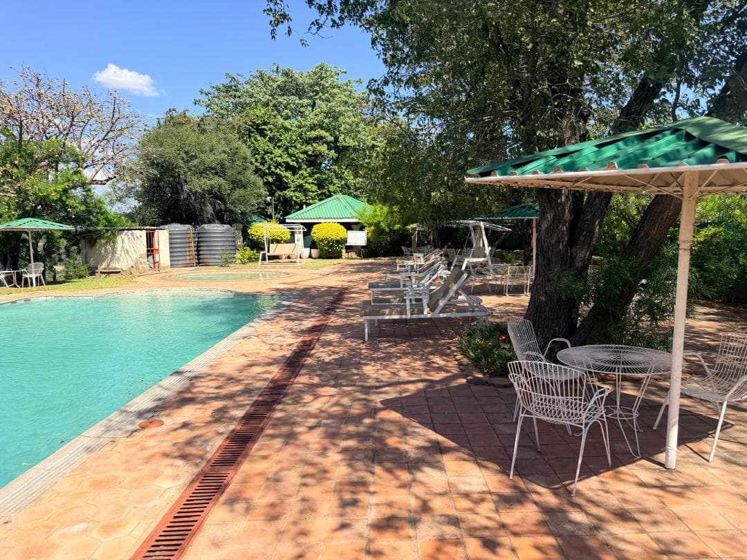 Pool with sun loungers